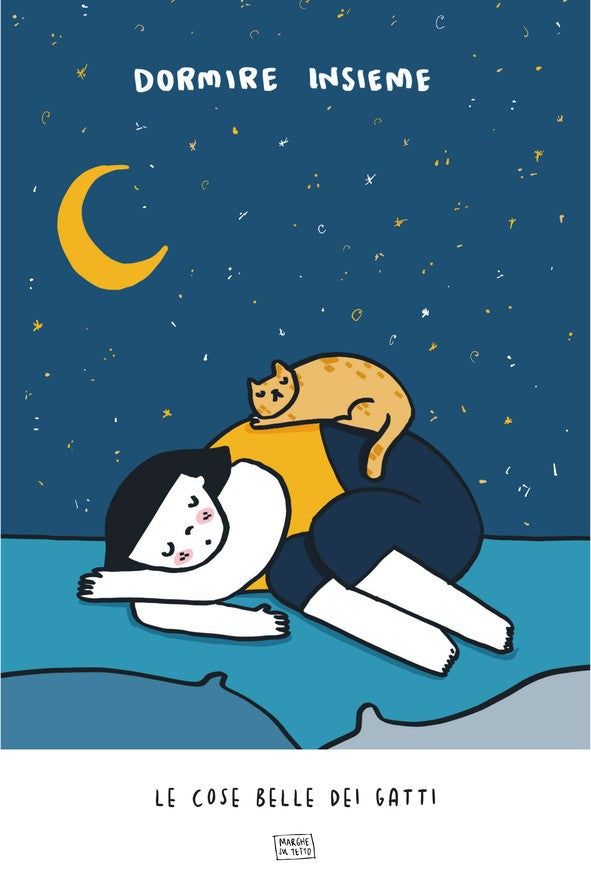 Le Cose Belle Dei Gatti - Dormire insieme 4
