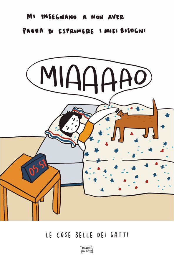 Le Cose Belle Dei Gatti - Mi insegnano a non avere paura a esprimere i miei bisogni