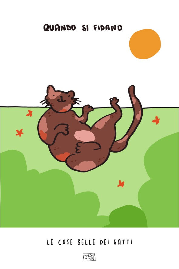Le Cose Belle Dei Gatti - Quando si fidano