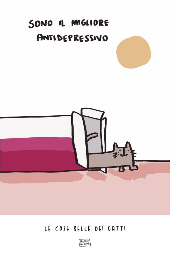 Le Cose Belle Dei Gatti - Sono il migliore antidepressivo