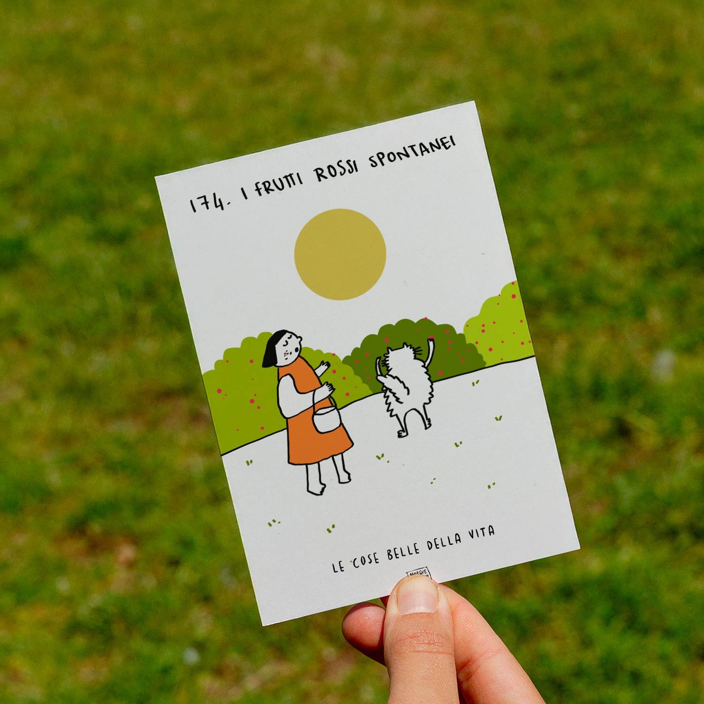 The beautiful things in life - 174. Wild red berries - lawn