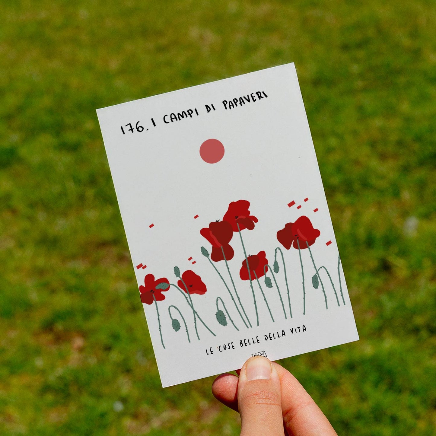 The beautiful things in life - 176. Poppy fields - lawn