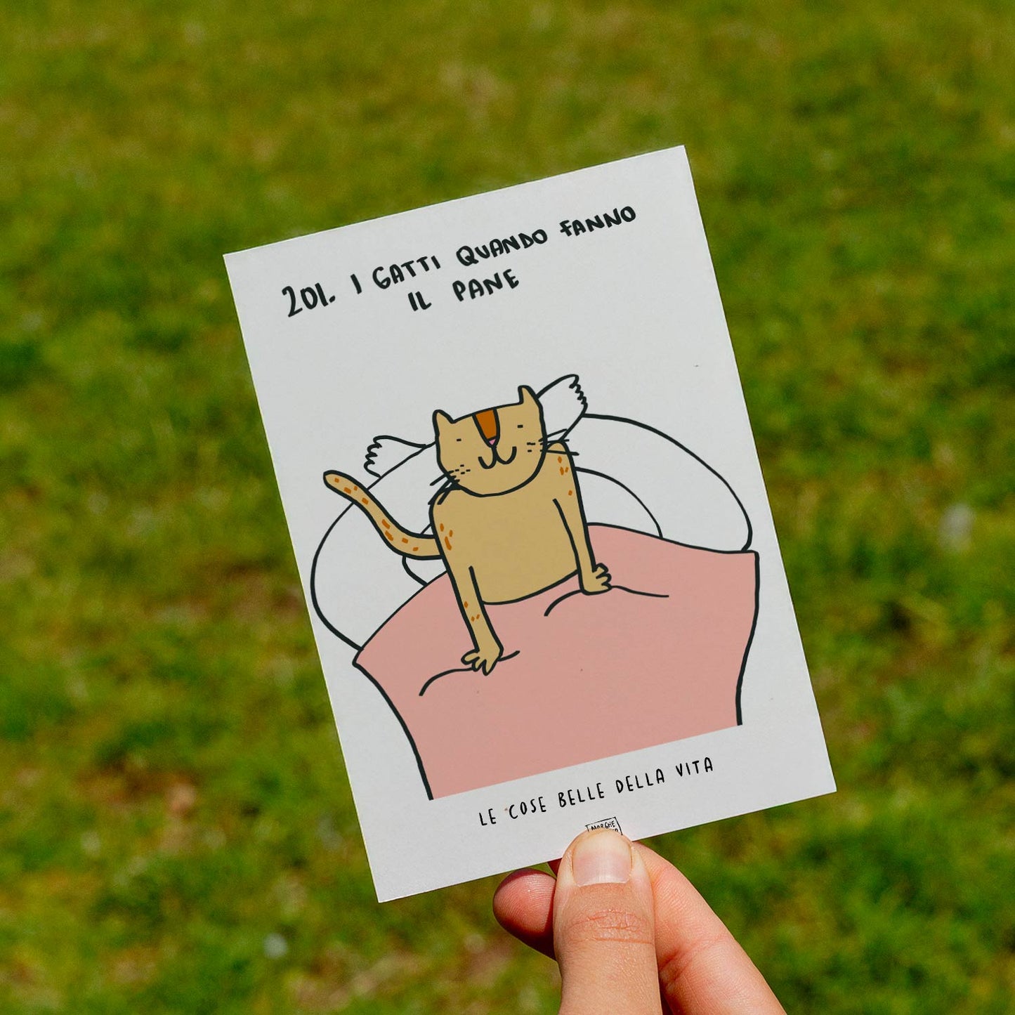 Le cose belle della vita - 201. I gatti quando fanno il pane - prato