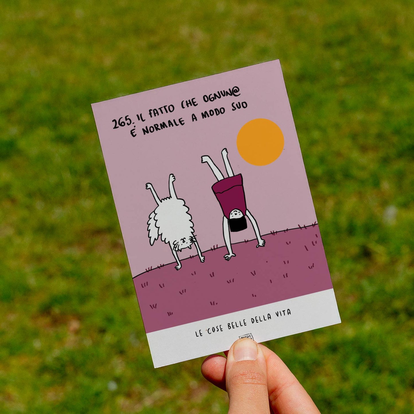 Le cose belle della vita - 265. Il fatto che ognun@ è "normale" a modo suo - prato