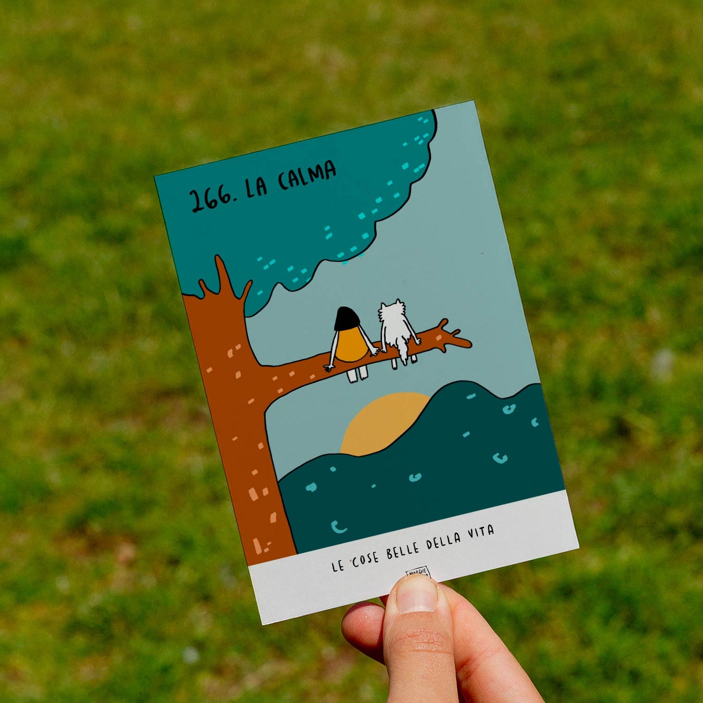 Le cose belle della vita - 266. La calma - prato