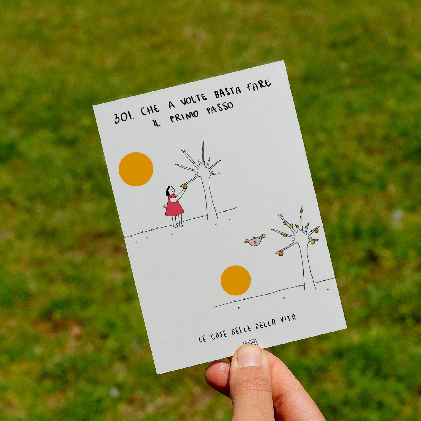 The beautiful things in life - 301. Sometimes, all it takes is the first step - lawn