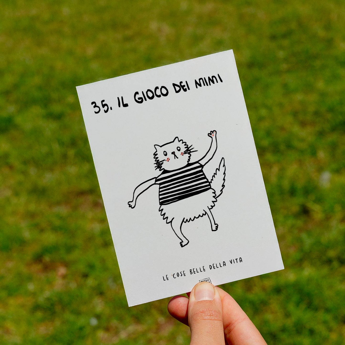 Le cose belle della vita - 35. Il gioco dei mimi - prato