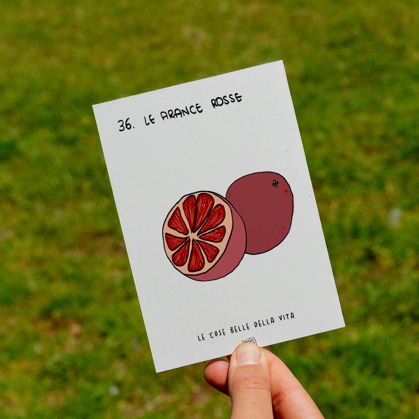 Le cose belle della vita - 36. Le arancie rosse - prato