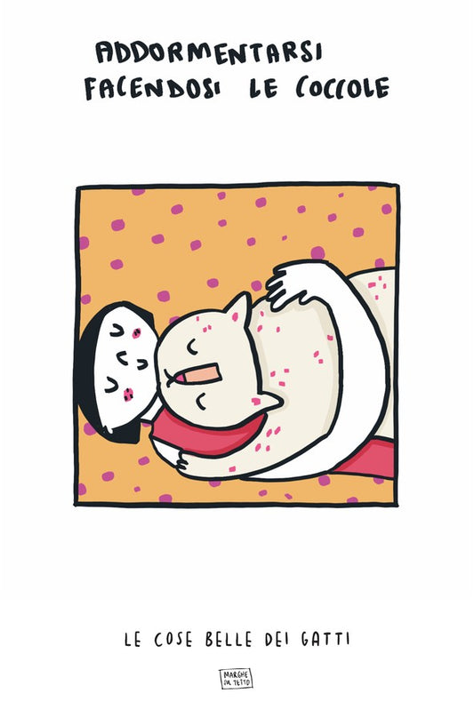 Le Cose Belle Dei Gatti - Addormentarsi facendosi le coccole