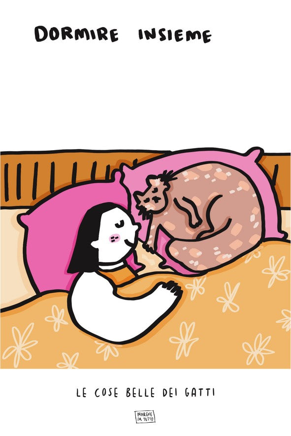 Le Cose Belle Dei Gatti - Dormire insieme 3