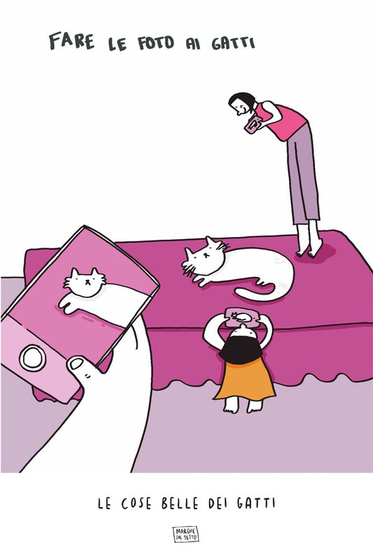 Le Cose Belle Dei Gatti - Fare le foto ai gatti