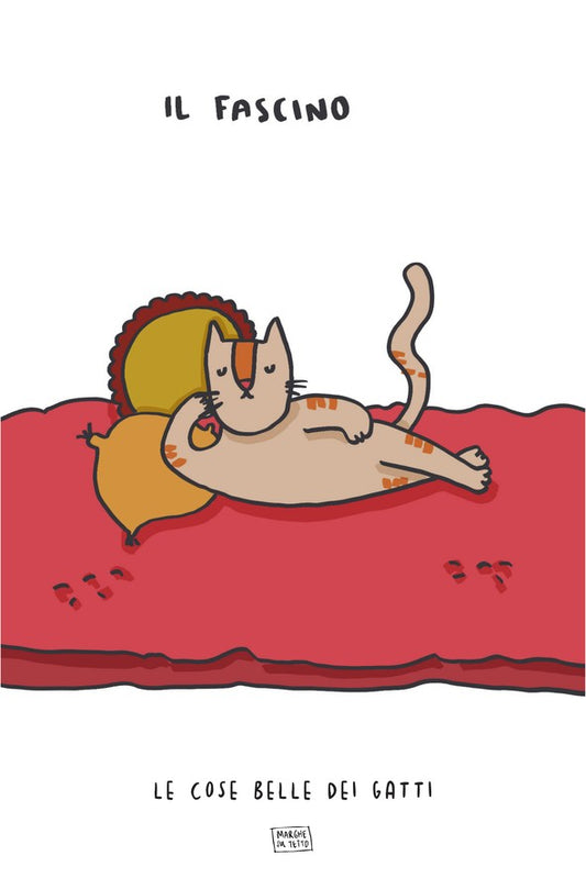 Le Cose Belle Dei Gatti - Il fascino