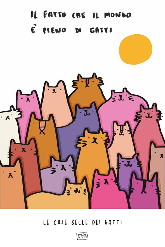Le Cose Belle Dei Gatti - Il fatto che il mondo è pieno di gatti