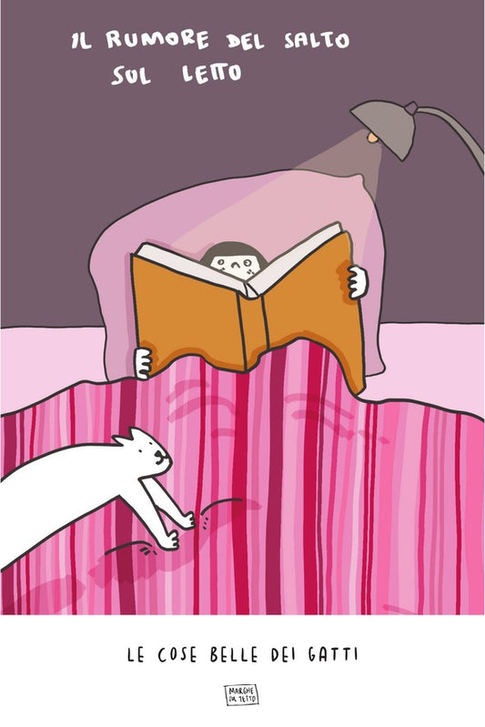 Le Cose Belle Dei Gatti - Il rumore del salto sul letto
