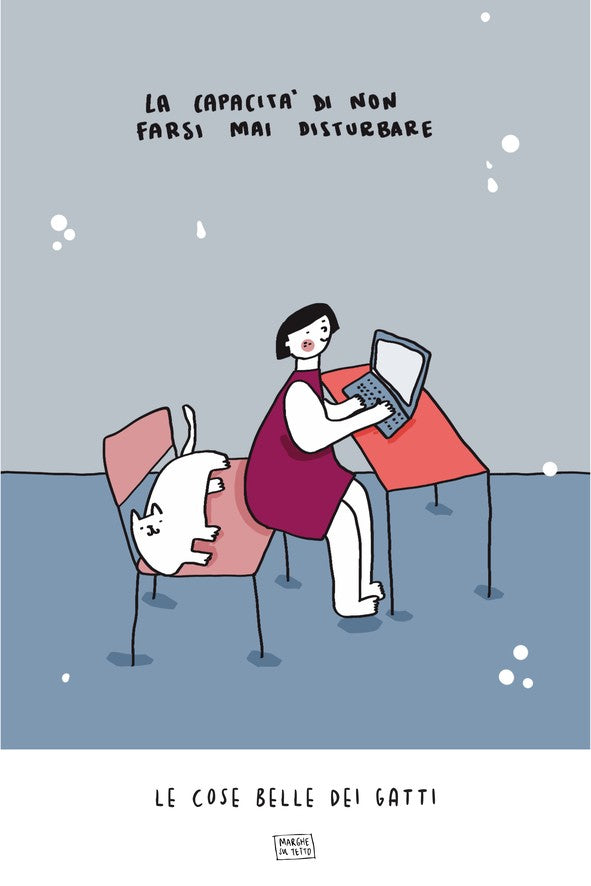 Le Cose Belle Dei Gatti - La capacità di non farsi mai disturbare