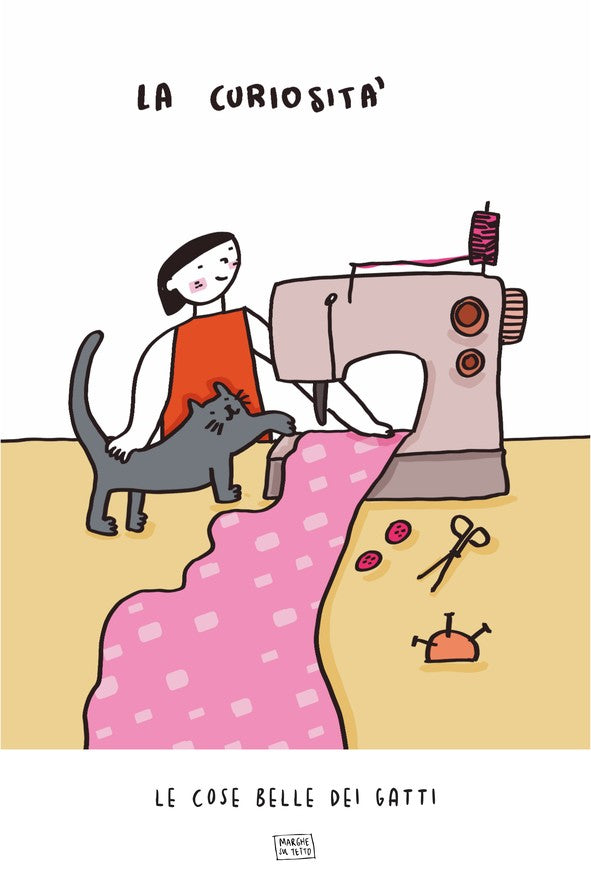Le Cose Belle Dei Gatti - La curiosità