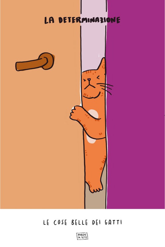 Le Cose Belle Dei Gatti - La determinazione