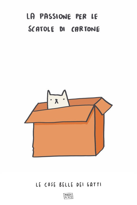 Le Cose Belle Dei Gatti - La passione per le scatole di cartone
