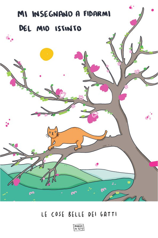 Le Cose Belle Dei Gatti - Mi insegnano a fidarmi del mio istinto