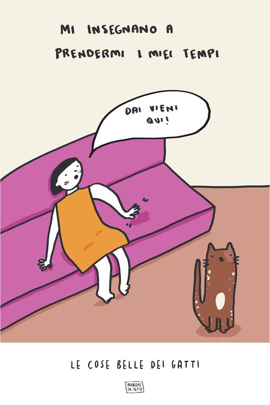 Le Cose Belle Dei Gatti - Mi insegnano a prendermi i miei tempi