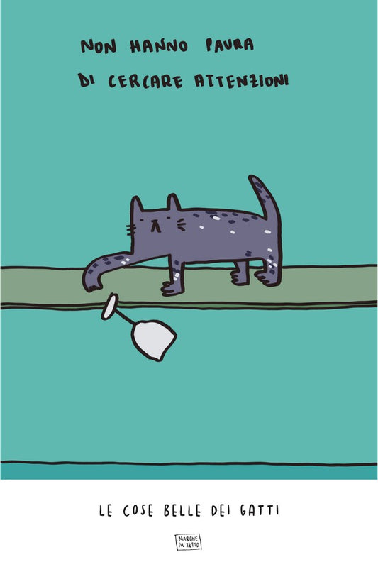 Le Cose Belle Dei Gatti - Non hanno paura di cercare attenzioni