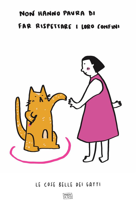 Le Cose Belle Dei Gatti - Non hanno paura di far rispettare i loro confini