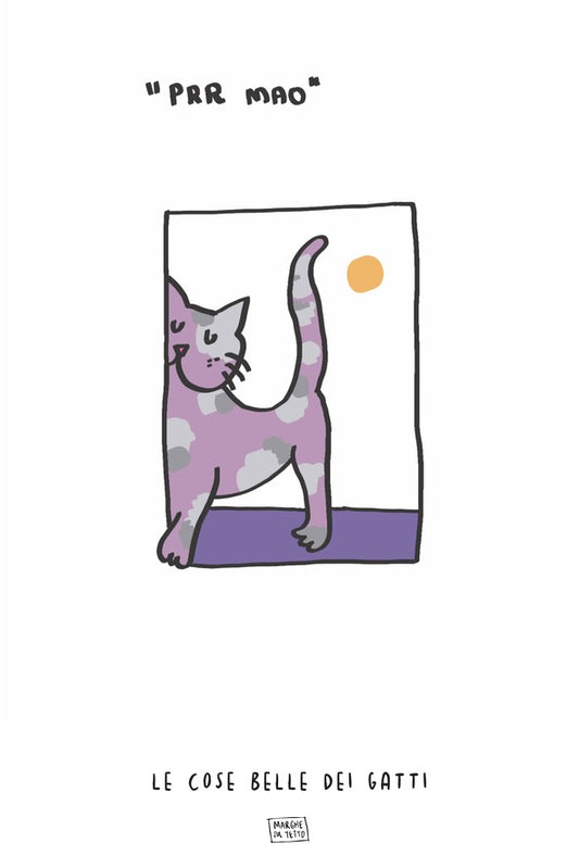 Le Cose Belle Dei Gatti - Prr mao