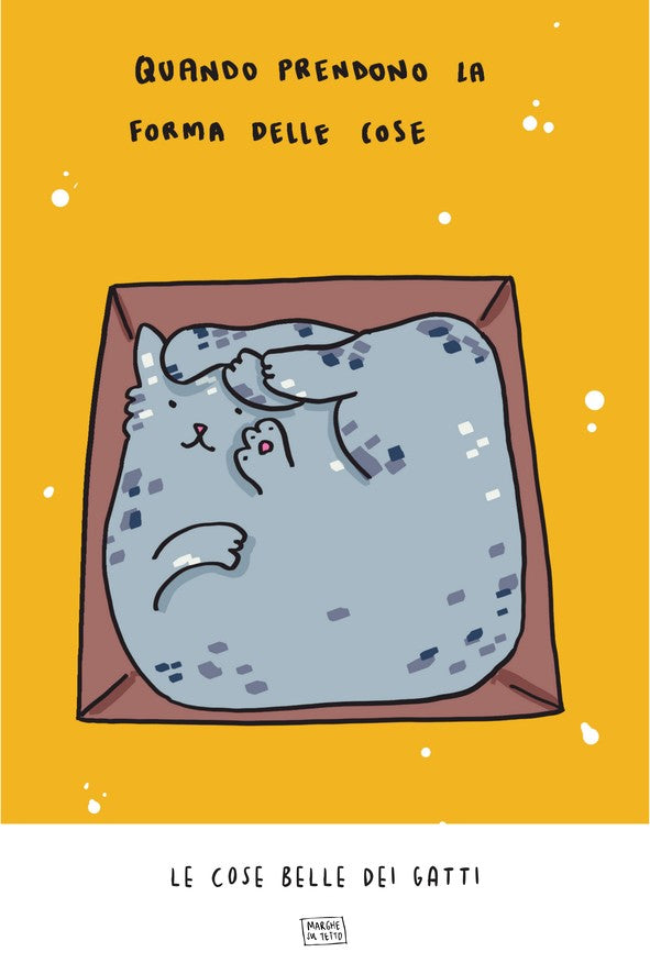 Le Cose Belle Dei Gatti - Quando prendono la forma delle cose