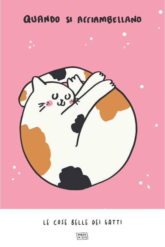 Le Cose Belle Dei Gatti - Quando si acciambellano