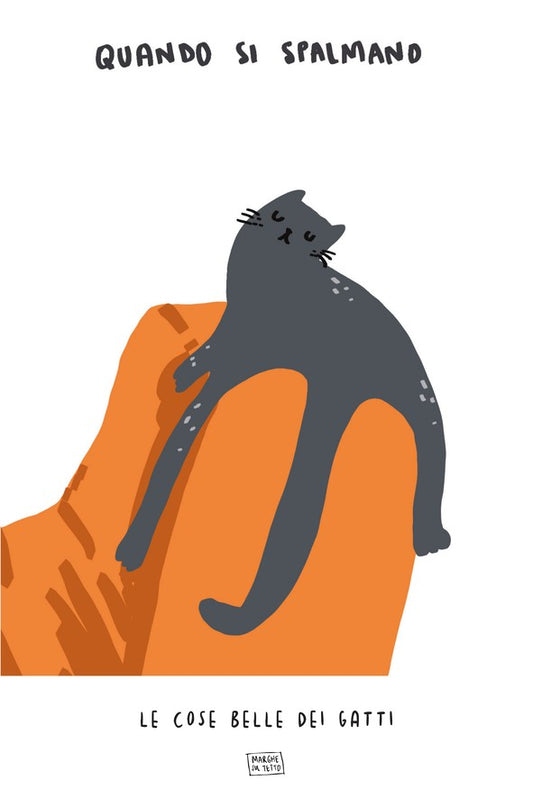 Le Cose Belle Dei Gatti - Quando si spalmano