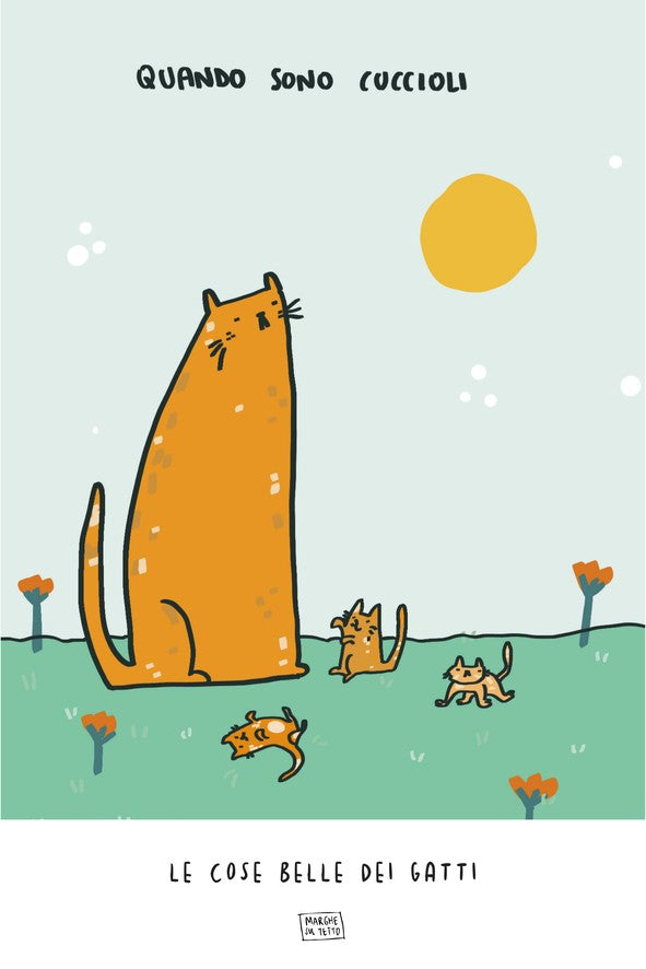 Le Cose Belle Dei Gatti - Quando sono cuccioli