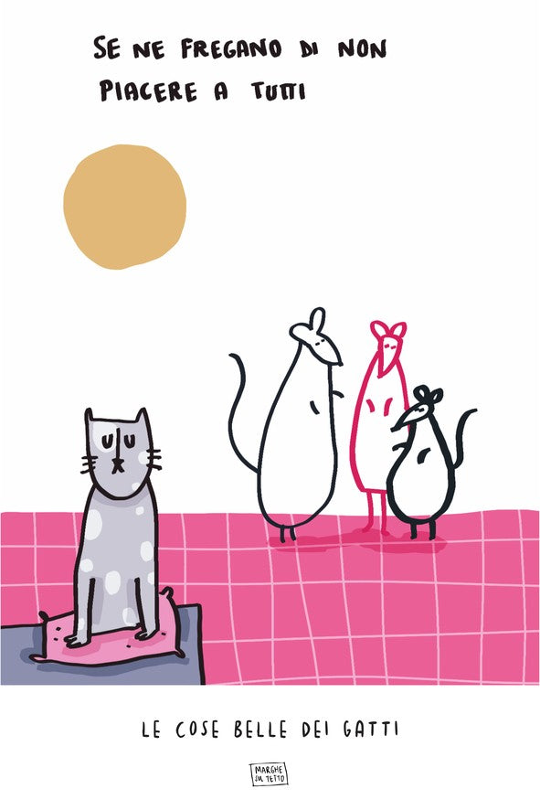 Le Cose Belle Dei Gatti - Se ne fregano di non piacere a tutti