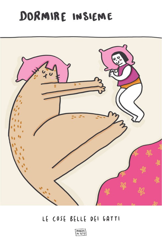 Le Cose Belle Dei Gatti - Dormire insieme 1