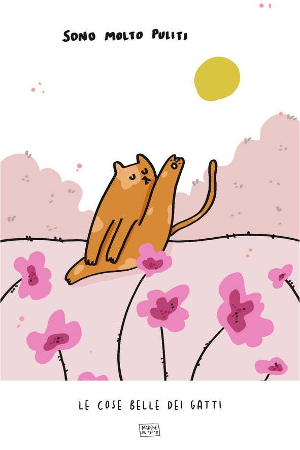 Le Cose Belle Dei Gatti - Sono molto puliti