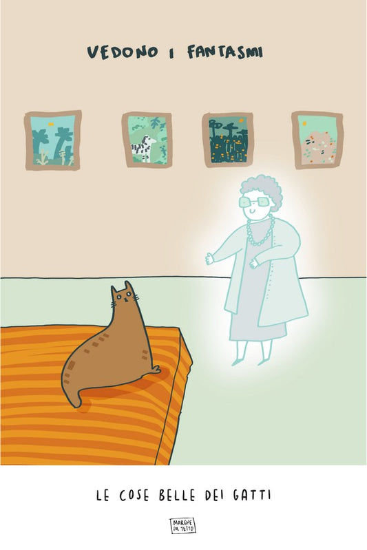 Le Cose Belle Dei Gatti - Vedono i fantasmi