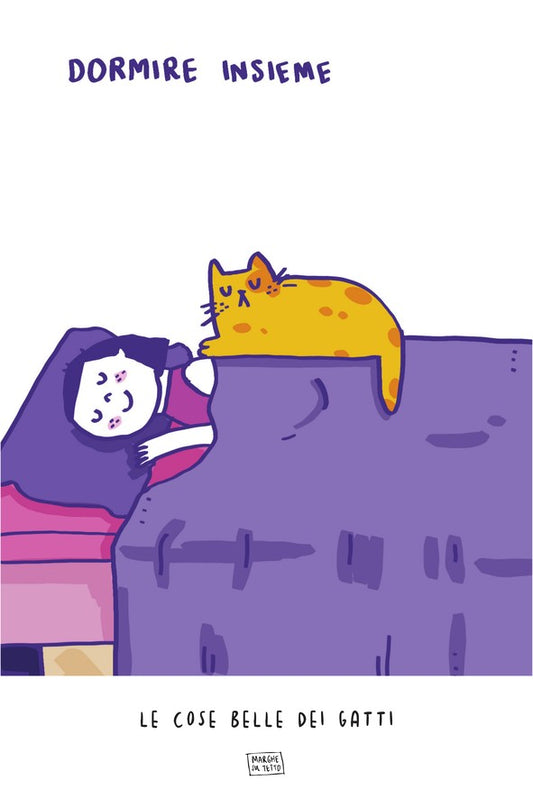 Le Cose Belle Dei Gatti - Dormire insieme 2