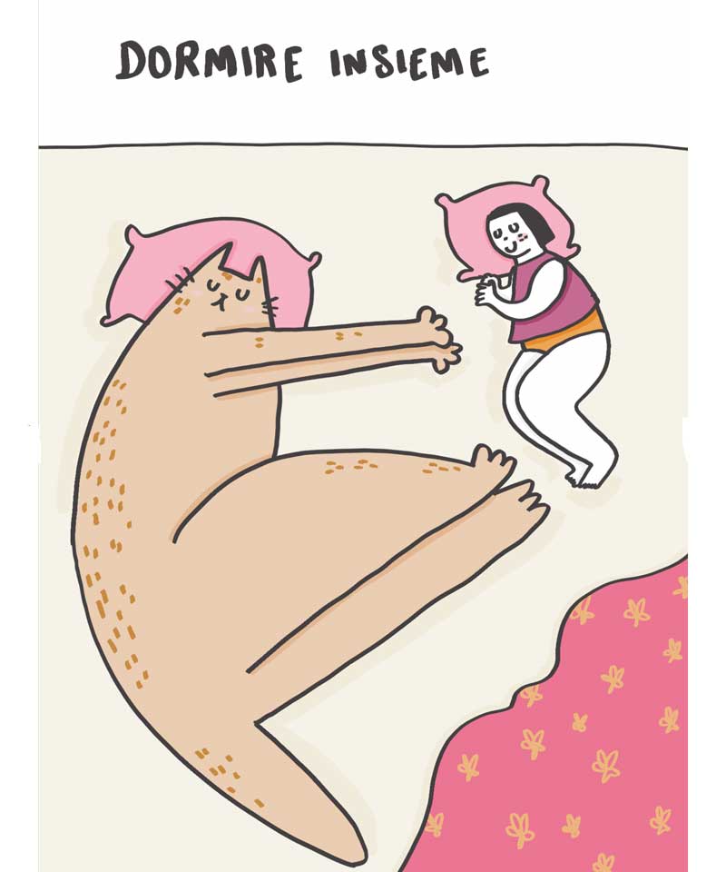 Book - The beautiful things about cats