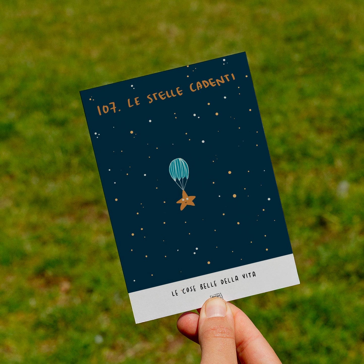 Le cose belle della vita - 107. Le stelle cadenti - prato