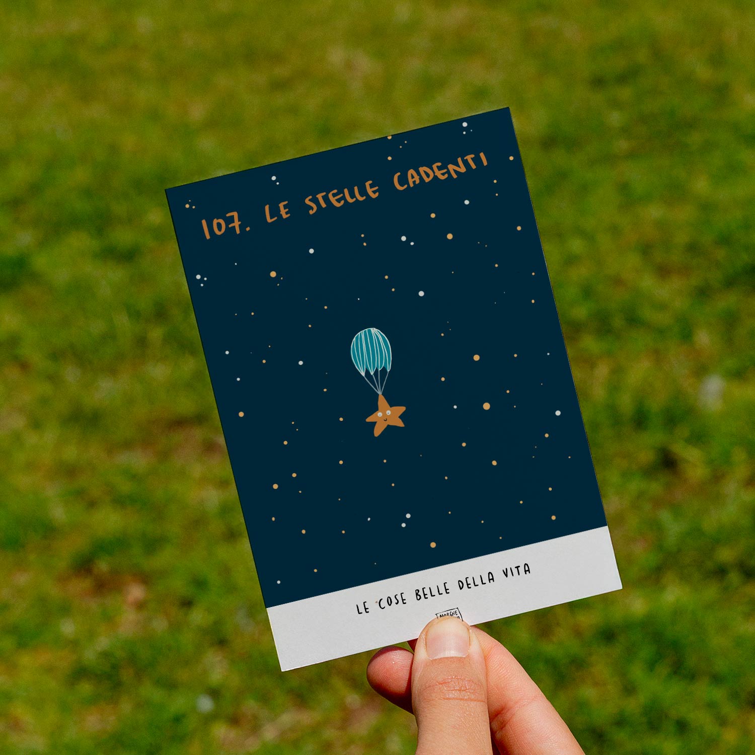 Le cose belle della vita - 107. Le stelle cadenti - prato