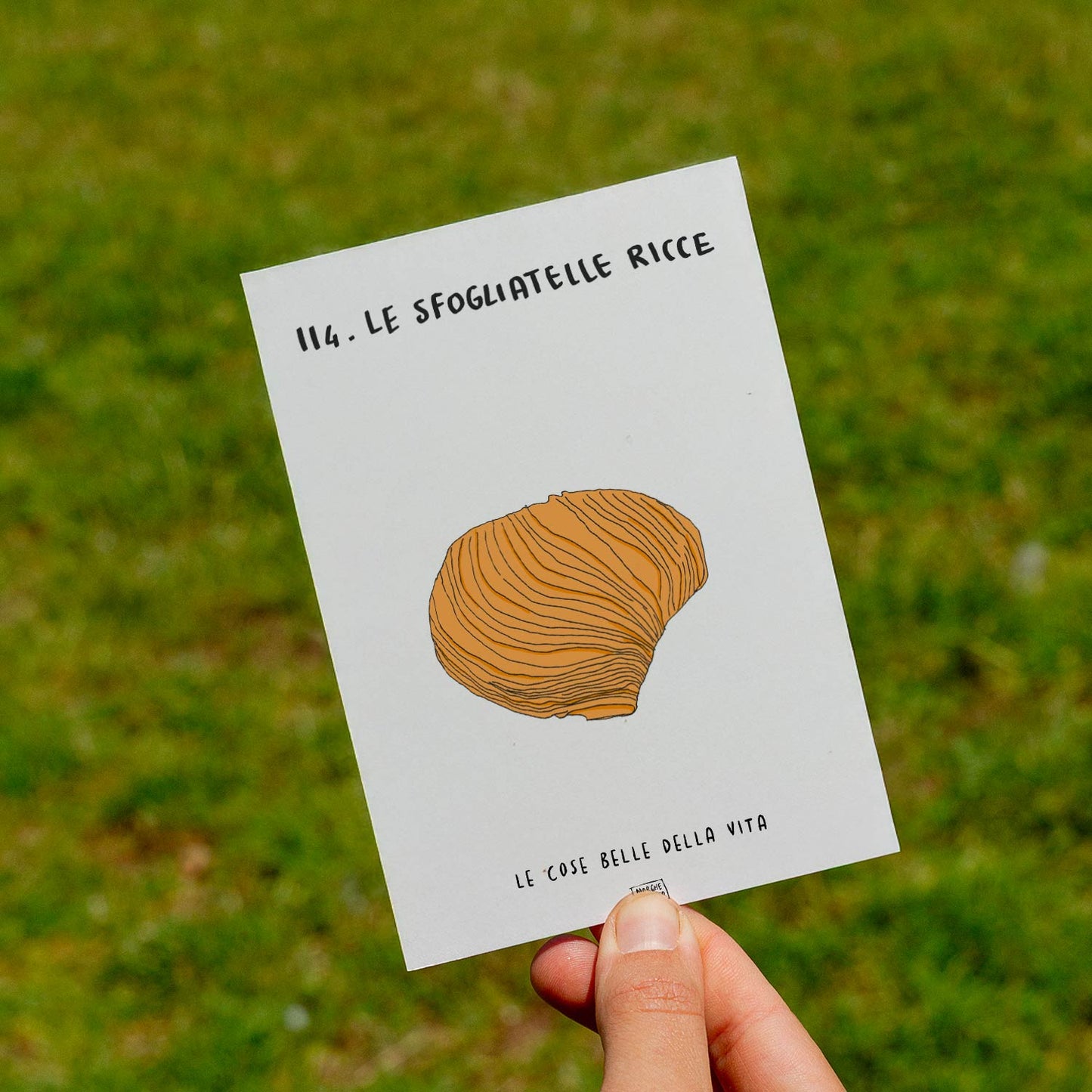 Les belles choses de la vie - 114. Les sfogliatelles bouclées - pelouse