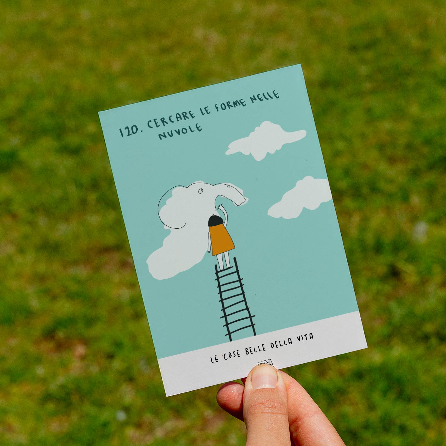 Les belles choses de la vie - 120. Chercher des formes dans les nuages - pelouse