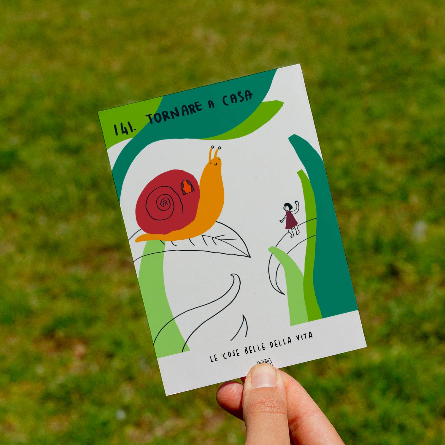 Les belles choses de la vie - 141. Retourner à la maison - pelouse