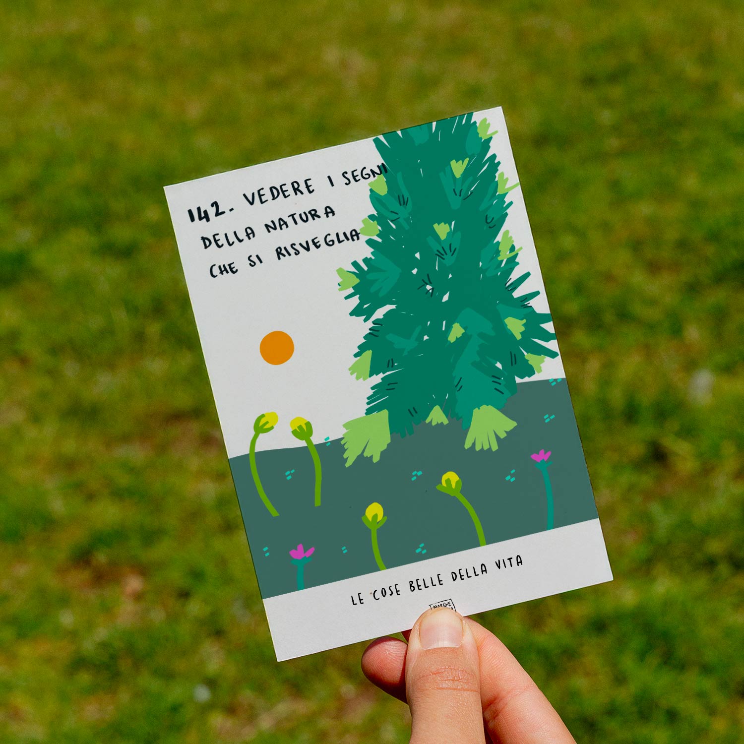 Le cose belle della vita - 142. Vedere i segni della natura che si risveglia - prato