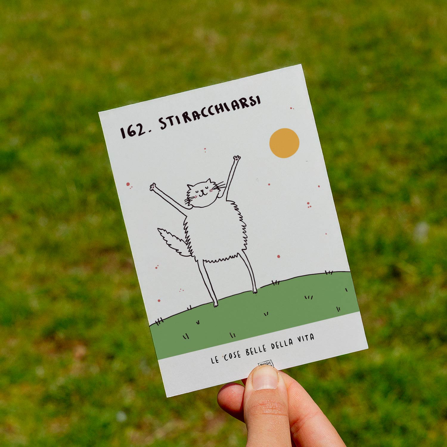 Le cose belle della vita - 162. Stiracchiarsi - prato