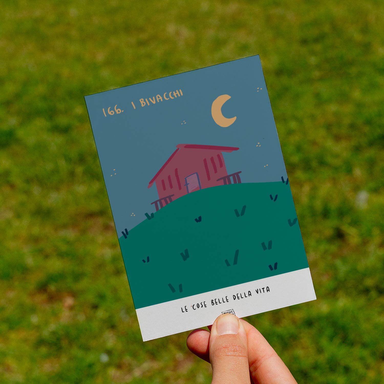 Lo bueno de la vida - 166. Los vivacs - césped