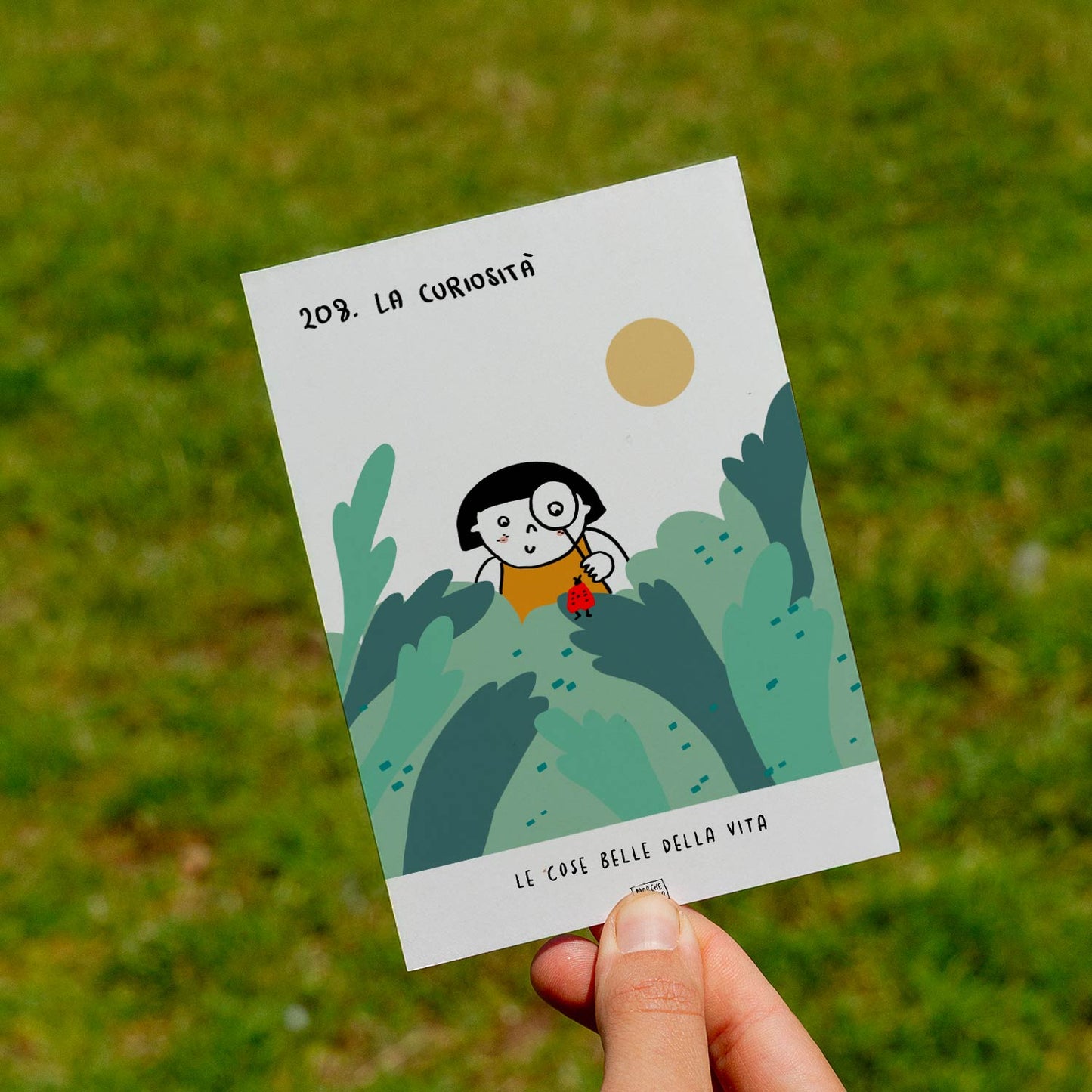 Le cose belle della vita - 208. La curiosità - prato