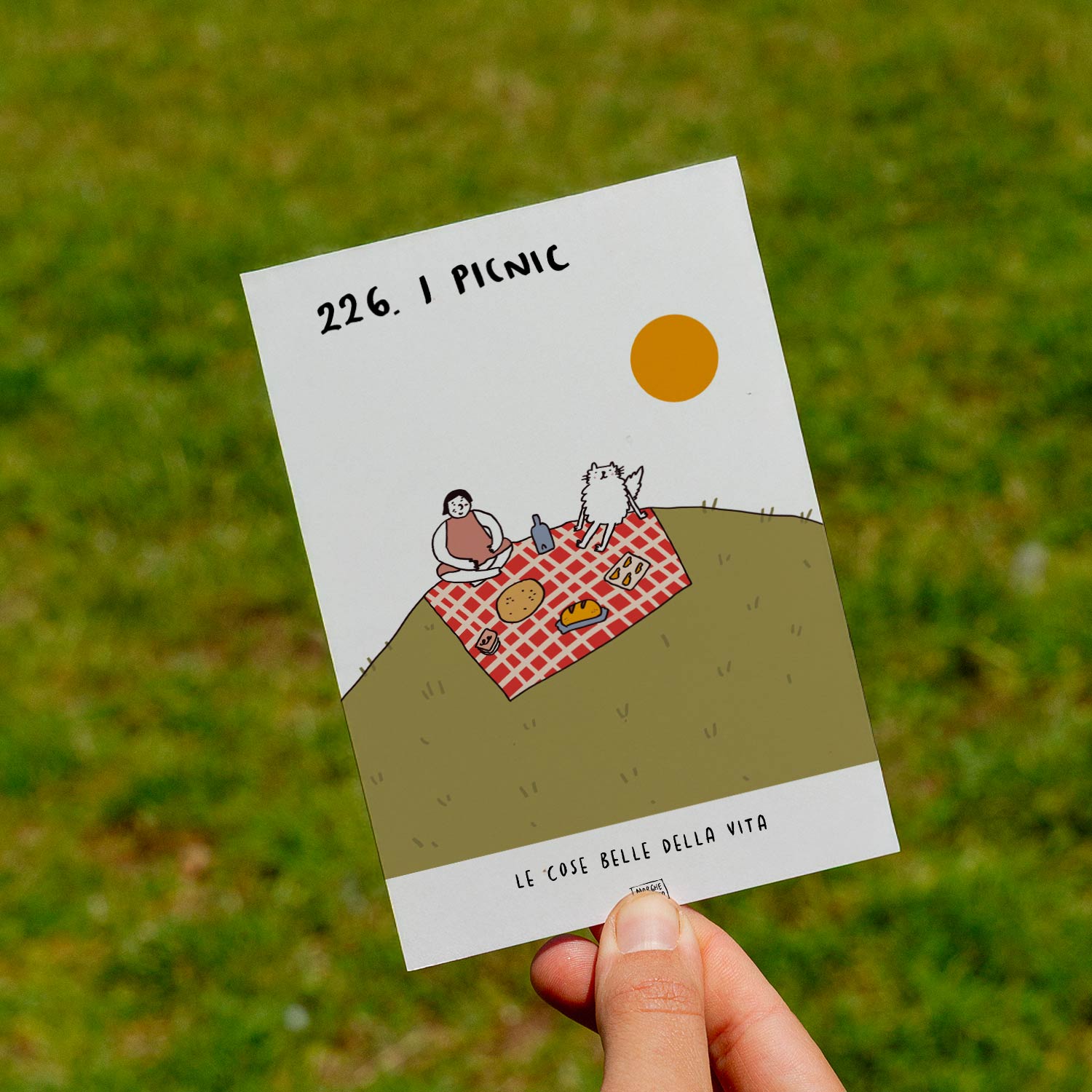 Le cose belle della vita - 226. I picnic - prato