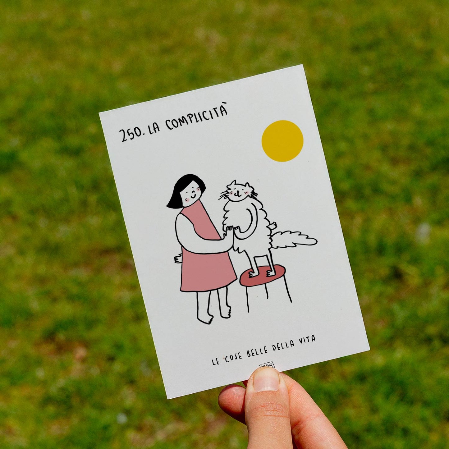 Le cose belle della vita - 250. La complicità - prato