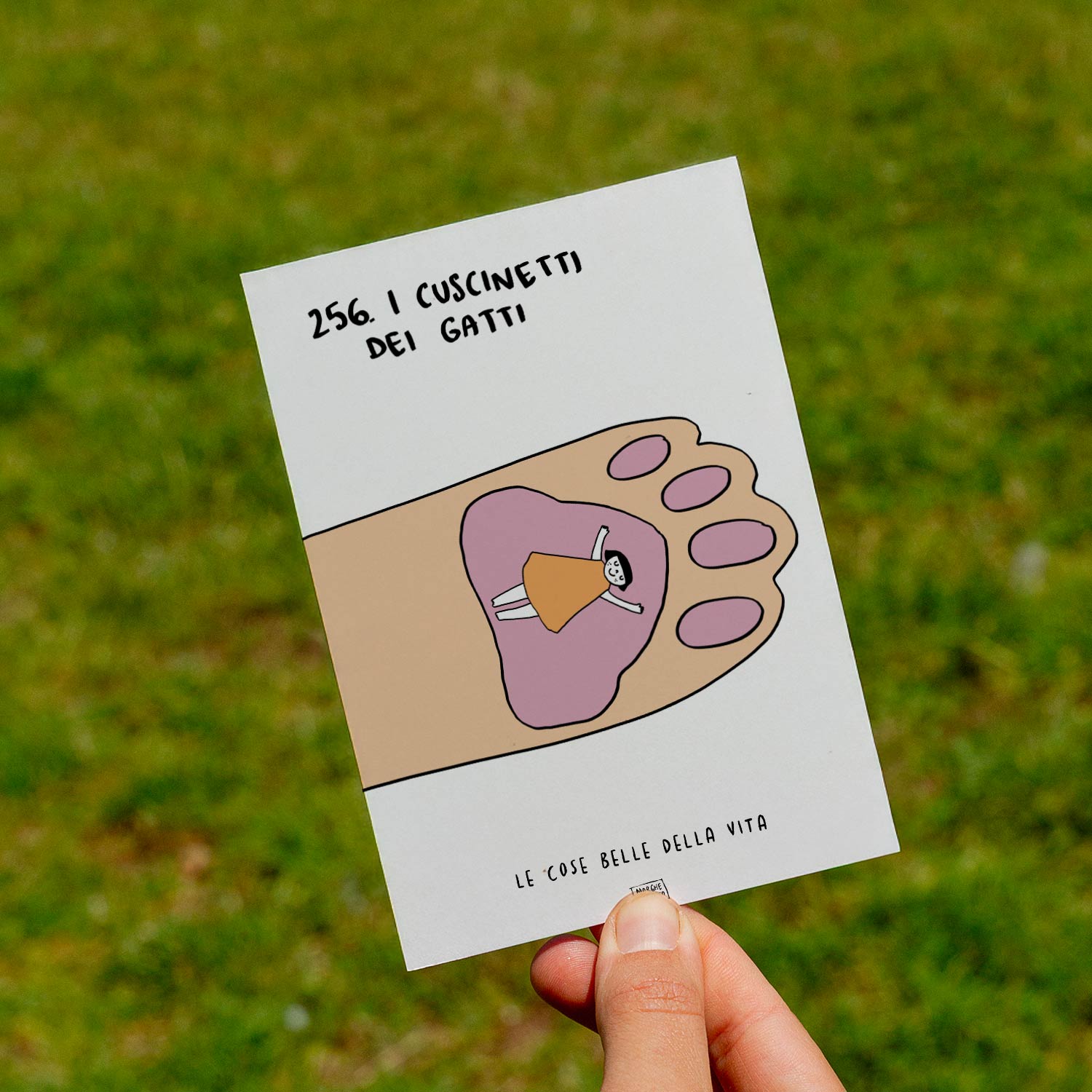 Le cose belle della vita - 256. I cuscinetti dei gatti - prato