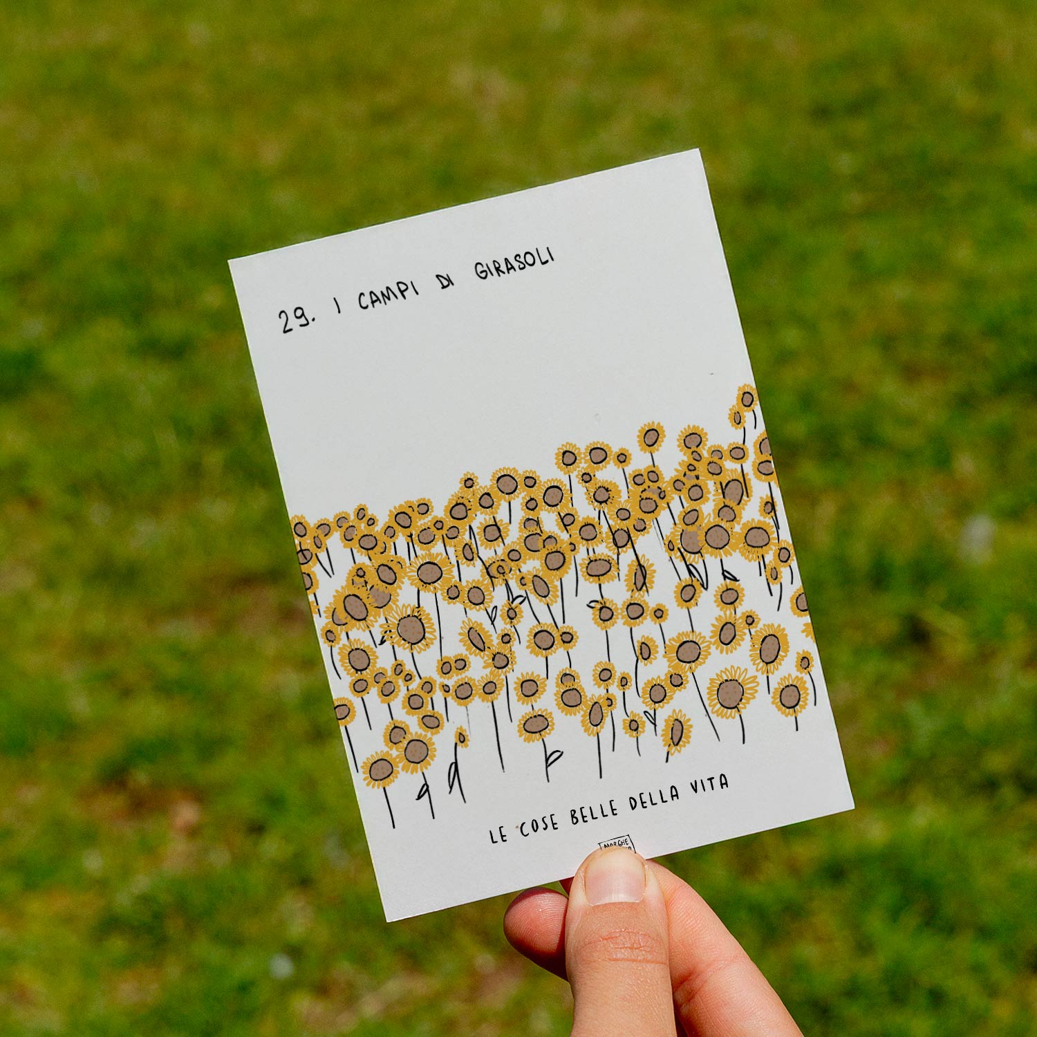 Le cose belle della vita - 29. I campi di girasoli - prato